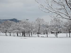 芝生広場の雪景色.jpg
