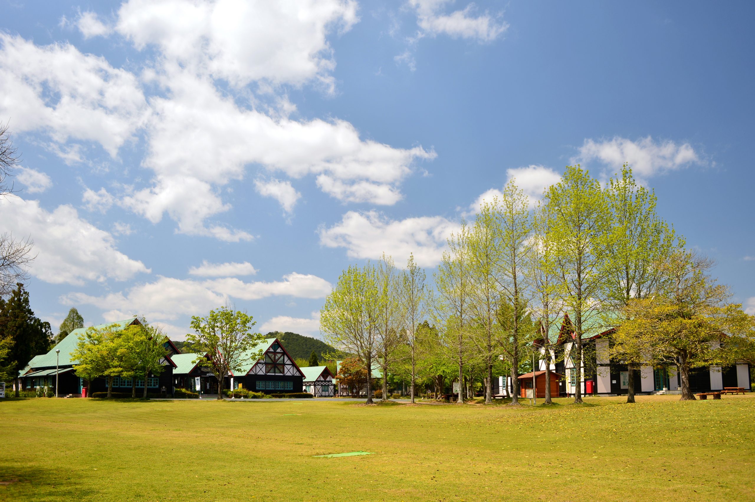 兵庫県立丹波年輪の里 Hyogo Prefectural Nenrin-no-Sato Park | だれでも木工のできる工作室のある 「クラフト館」、木材や林産の情報を集めた「木の館」、広い芝生広場、ナイター設備のあるグランドなどを備えた木育活動施設です。